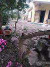 Sjo Village Sardegna
