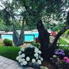 Apartamento Villa L'uliveta