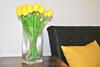 Verba Mundi Guest House