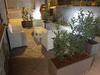Apartamento Casa Vacanze Palinuro-mare