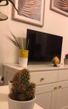Edyta's Apartment