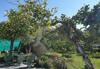 Apartamento El Nido Holiday Cottage With Pool