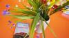 Apartamento Welcomely - Sassari 9