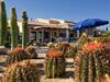 Lovely Apartment In Sardegna With Shared Garden