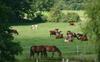 Apartamento Ferienwohnung Landhaus