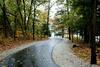 Fall Creek Resort Oasis