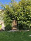 Apartamento La Corte Di Valemi