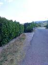 Apartamento House Rose