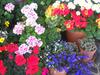 Hostal G�stehaus Maria