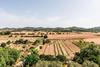 Apartamento Finca Rural Son Amer