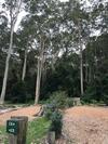 Durras Lake North Holiday Park