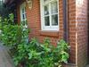 Apartamento G�stewohnung Wasserzucht