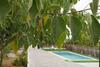 Vivienda Rural Cortijo de Liche