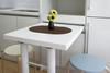 Apartamentos Good Morning Parktel Residence