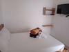 Hotel La Selva Jardin