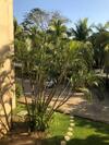 Apartamento Cormoran Cozy Condo In Ixtapa