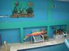 A1 Apartments Aruba