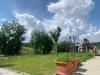 Apartamento Olive