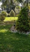 Bed & Breakfast Fili D'erba