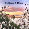 Maison Small Luxury ( Planxa,suite,solarium,jacuzzi,pas de Vis � Vis)