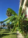Apartamento Bordighera: La Casa Sul Mare!