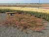 Villa Lumineuse En Front de Mer - Gold Beach