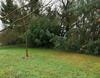 Gite de La C�te Au Loup