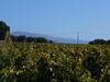 Mas Provencal Le Rocan