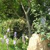 G�te Du Jardin