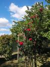 Apartamento La Bastide Des Sources