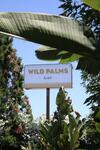 Wild Palms Hotel, A Joie de Vivre Hotel