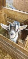 Hostal Chambre D'h�tes � La Ferme