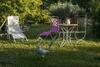Bed & Breakfast Chambres D'h�tes de Curnier