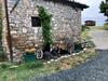 Bed & Breakfast La Locanda Nel Vento