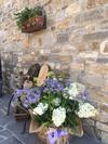 Bed & Breakfast La Locanda Nel Vento