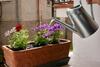 Bed & Breakfast Un Coccodrillo A Frassino