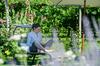 Bed & Breakfast R�sslhof