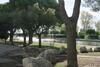 Apartamento Grand Studio Cabine La Lagune Acc�s Direct Plages