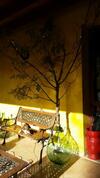 Bed & Breakfast La Cascina Di Alice