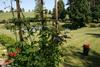 Bed & Breakfast Zielone Okiennice
