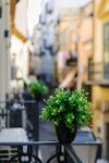 Apartamento Incao Holiday I Pupi House