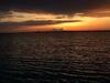 Sea Of Love