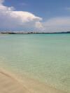 Sea Of Love