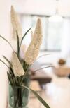 Apartamento Lavanda - Beautiful And Cozy, In The Best Location