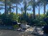 Bed & Breakfast Palm Garden Papamoa Beach Paradise