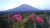 Hostal Khrisna Sunrise Homestay Tulamben