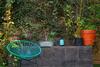 Blue Pepper Hostel Chapultepec