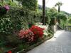 Apartamento Villa Plinio Lago Di Como