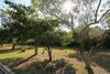 Villa Argo 2 - Beachfront, Big Gardens, Location!