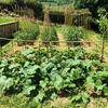 Agroturismo Podere Bellavista